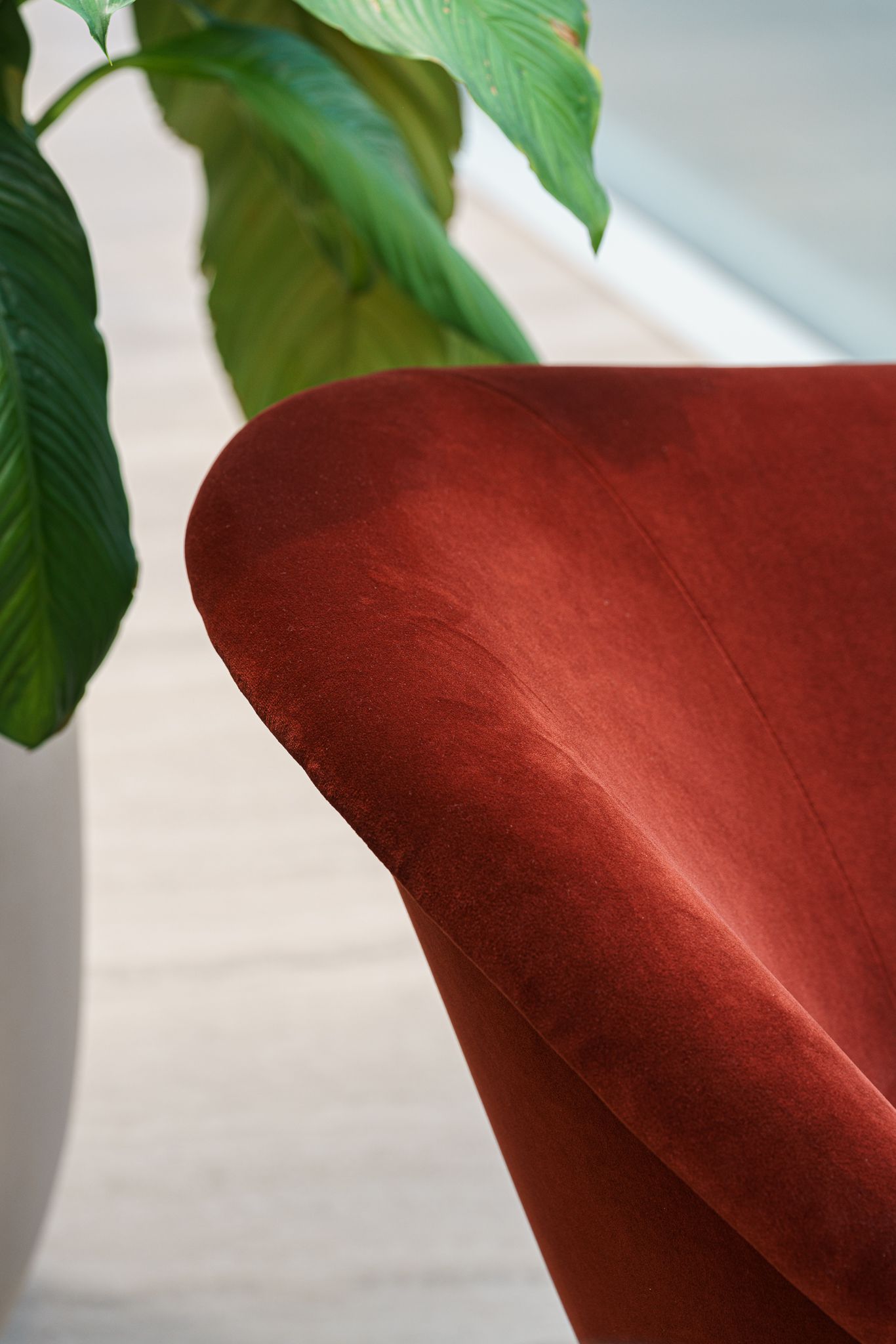 Molteni&C Кресло D.154.2 Gio Ponti от Molteni & C — в интерьере