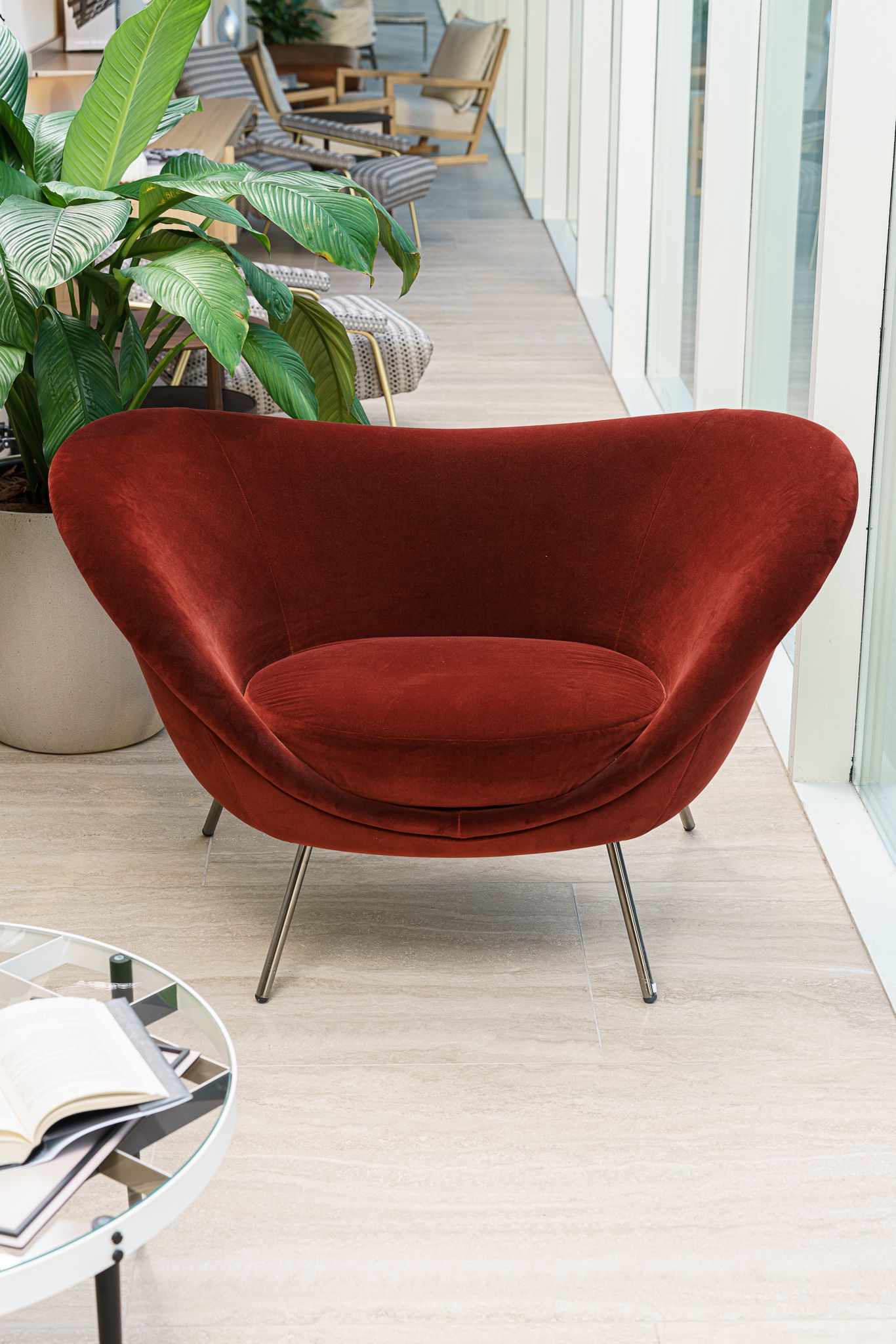 Molteni&C Кресло D.154.2 Gio Ponti от Molteni & C — в интерьере