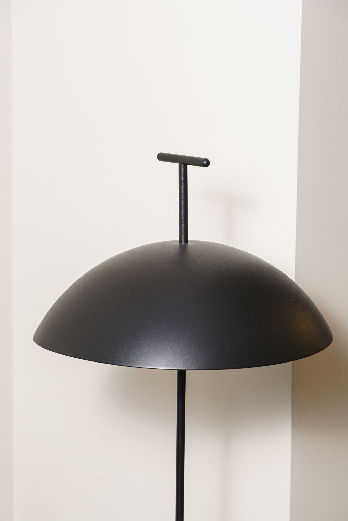 Kartell Торшер Geen Black/White от Kartell — в интерьере
