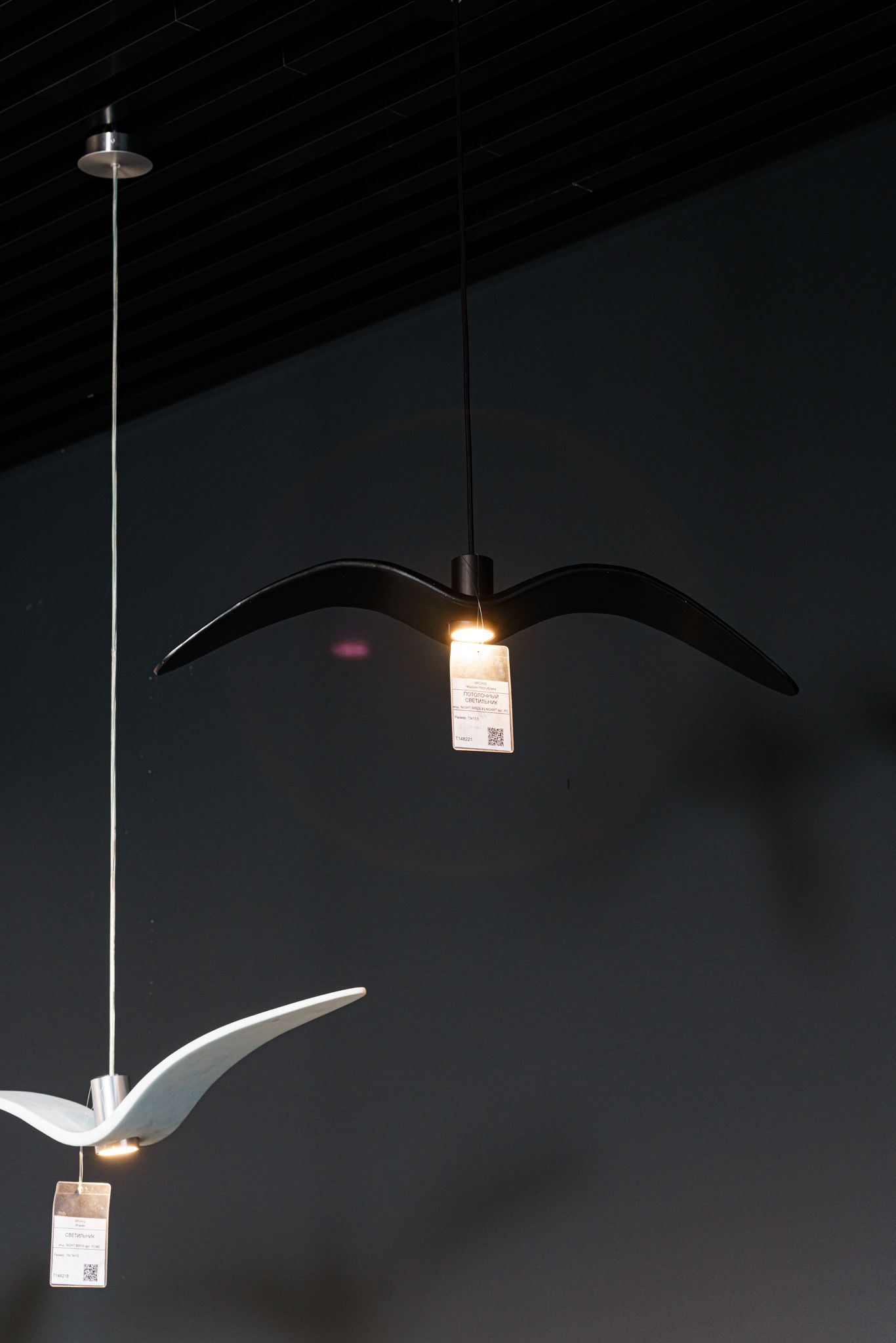 Brokis Подвесной светильник Night Birds PC962 Smoke grey massif от Brokis — в интерьере