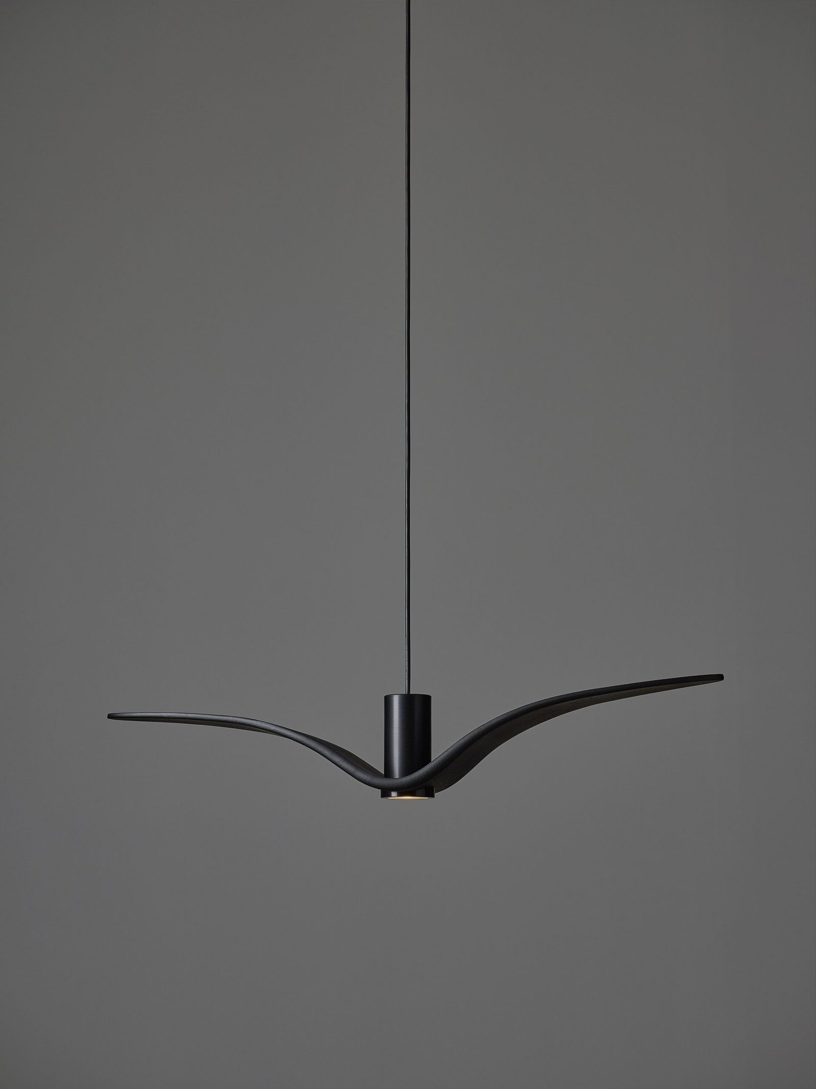 Brokis Подвесной светильник Night Birds PC962 Smoke grey massif от Brokis — в интерьере