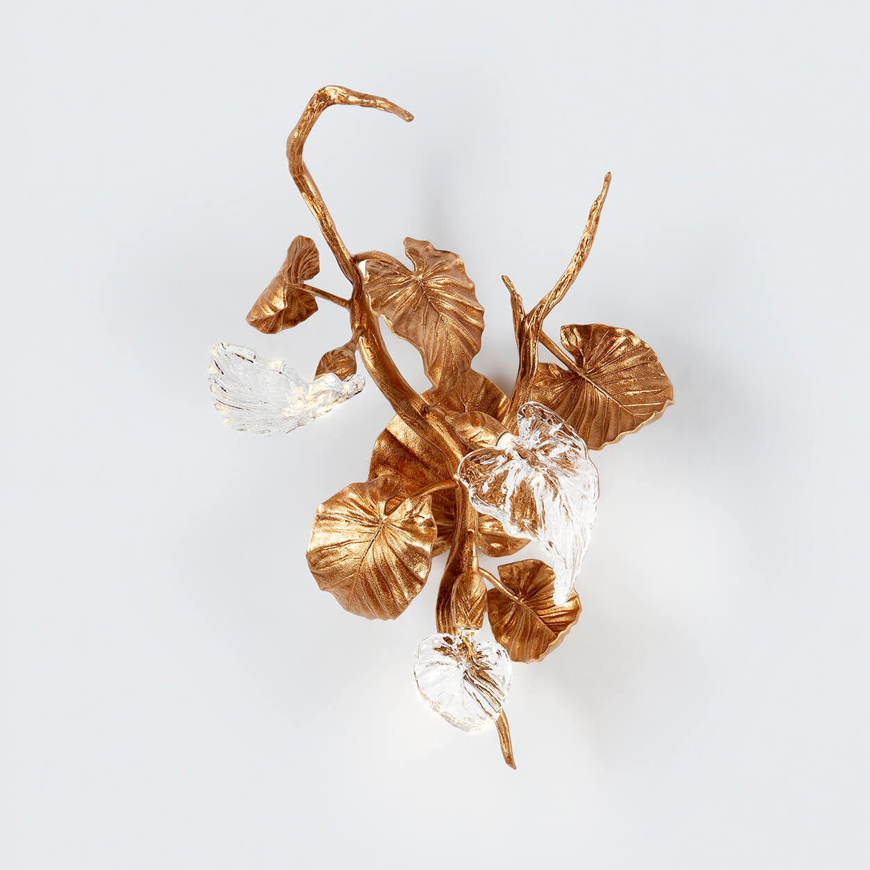 Serip Бра Calathea Makoyana Medium AP1519/3 от Serip — в интерьере