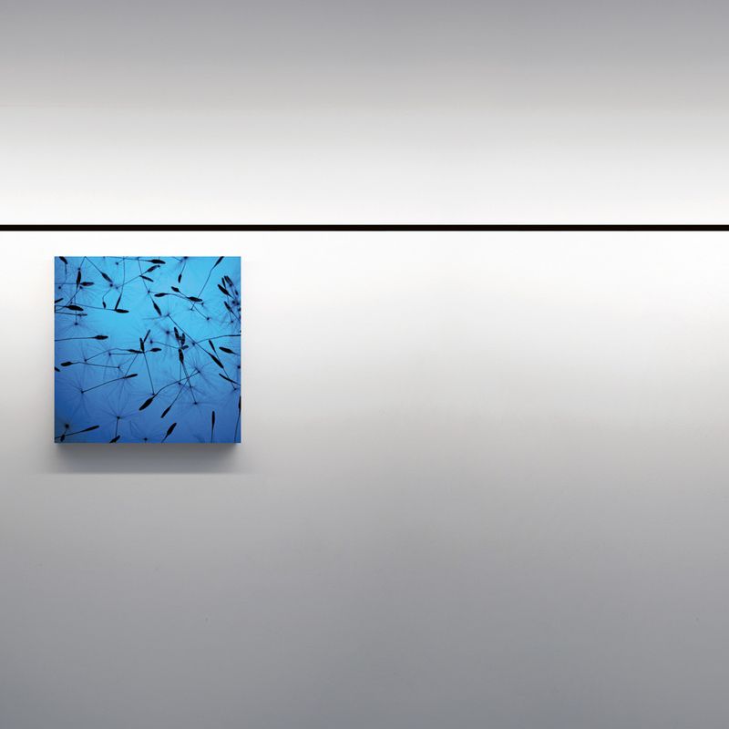 Davide Groppi Бра Infinito от Davide Groppi — в интерьере