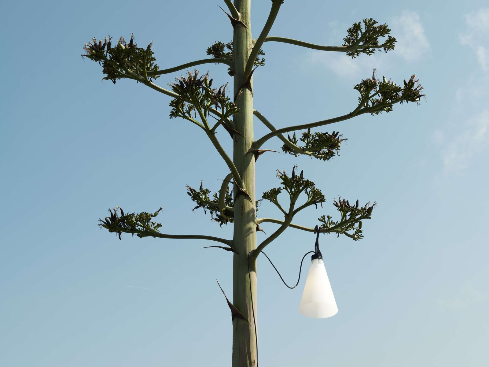 Flos Универсальный светильник Mayday Outdoor от Flos — в интерьере