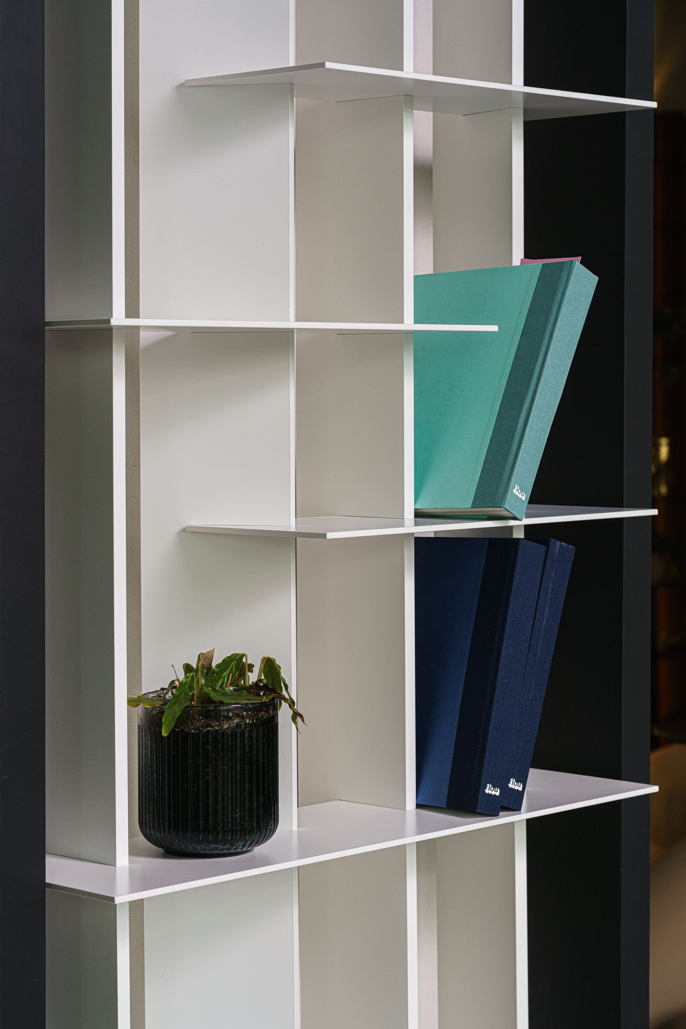Flou Стеллаж с подсветкой CCLight White 259 от Flou — в интерьере