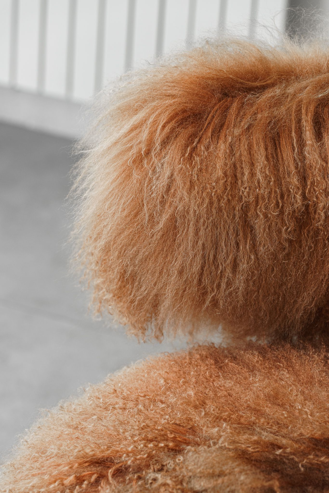 Baxter Кресло Nepal Little Mongolia Cuoio от Baxter — в интерьере