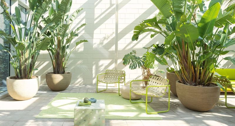 Paola Lenti Кресло Baleari от Paola Lenti — в интерьере