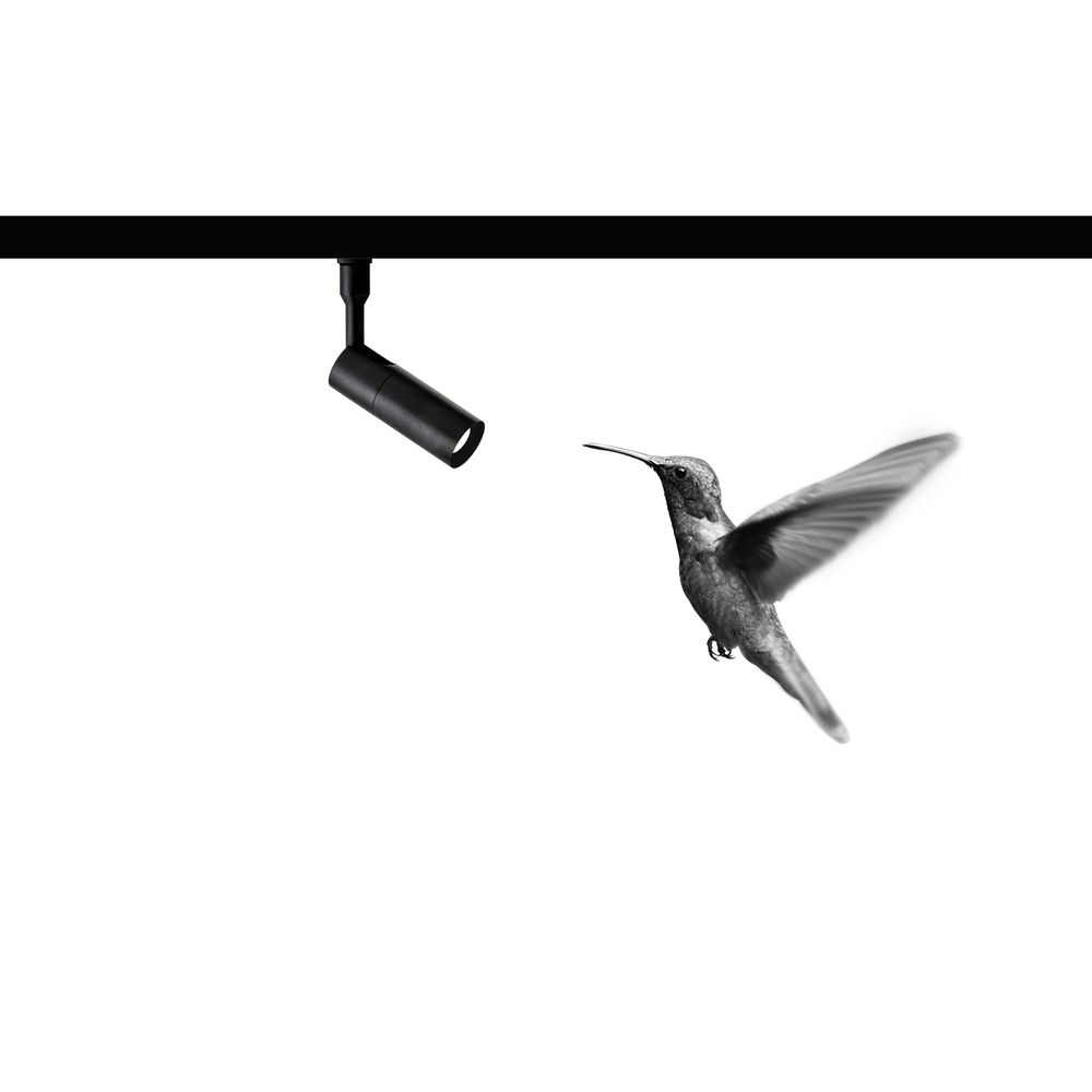 Davide Groppi Встраиваемый светильник Colibri от Davide Groppi