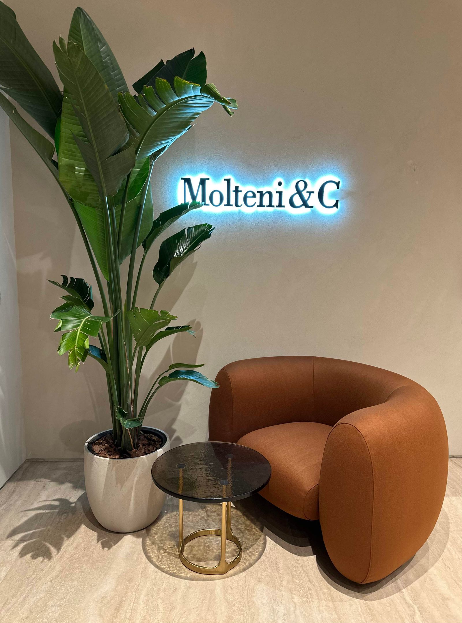 Molteni&C Кресло Cinnamon Zeus от Molteni & C — в интерьере