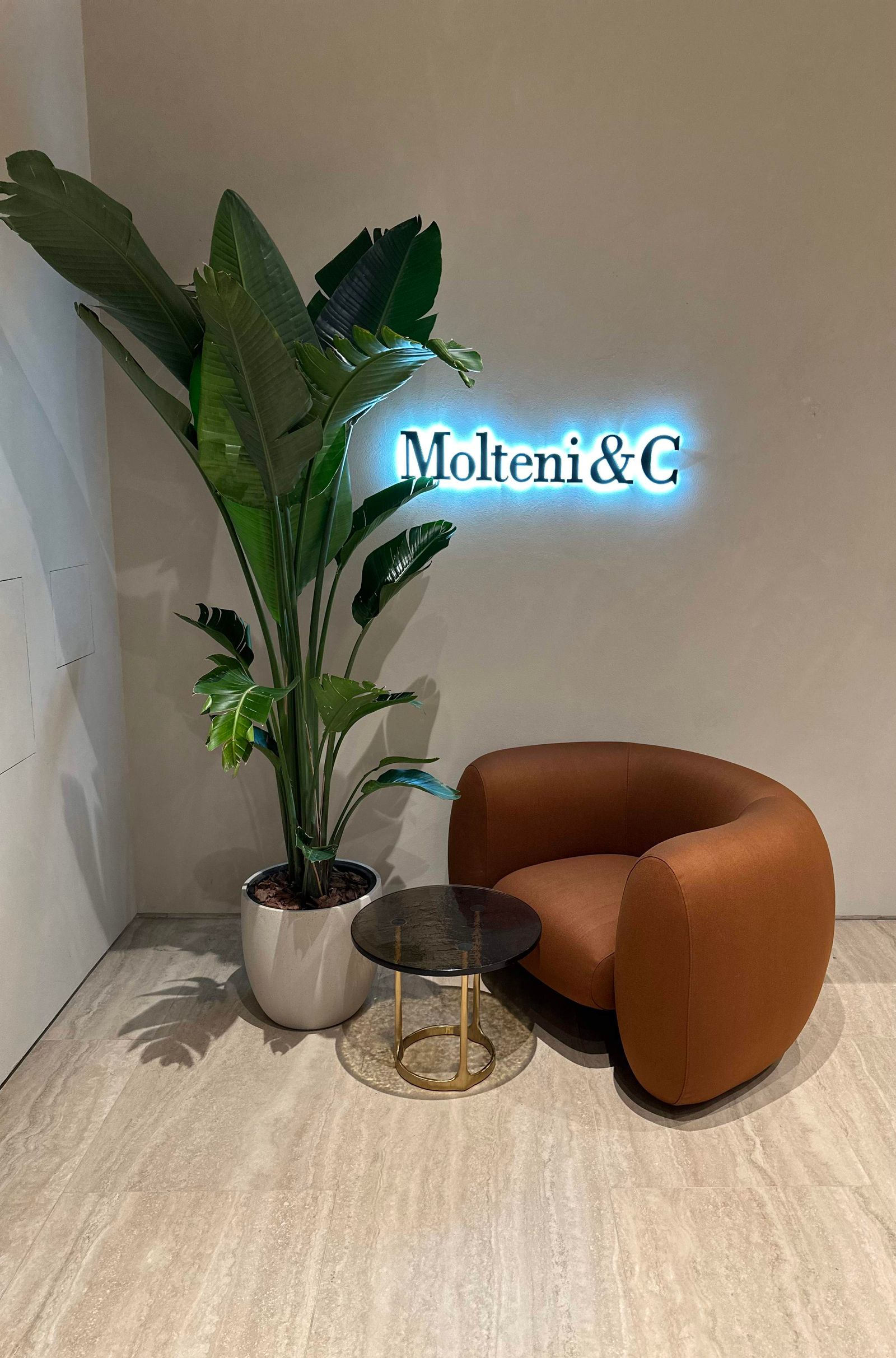 Molteni&C Кресло Cinnamon Zeus от Molteni & C — в интерьере