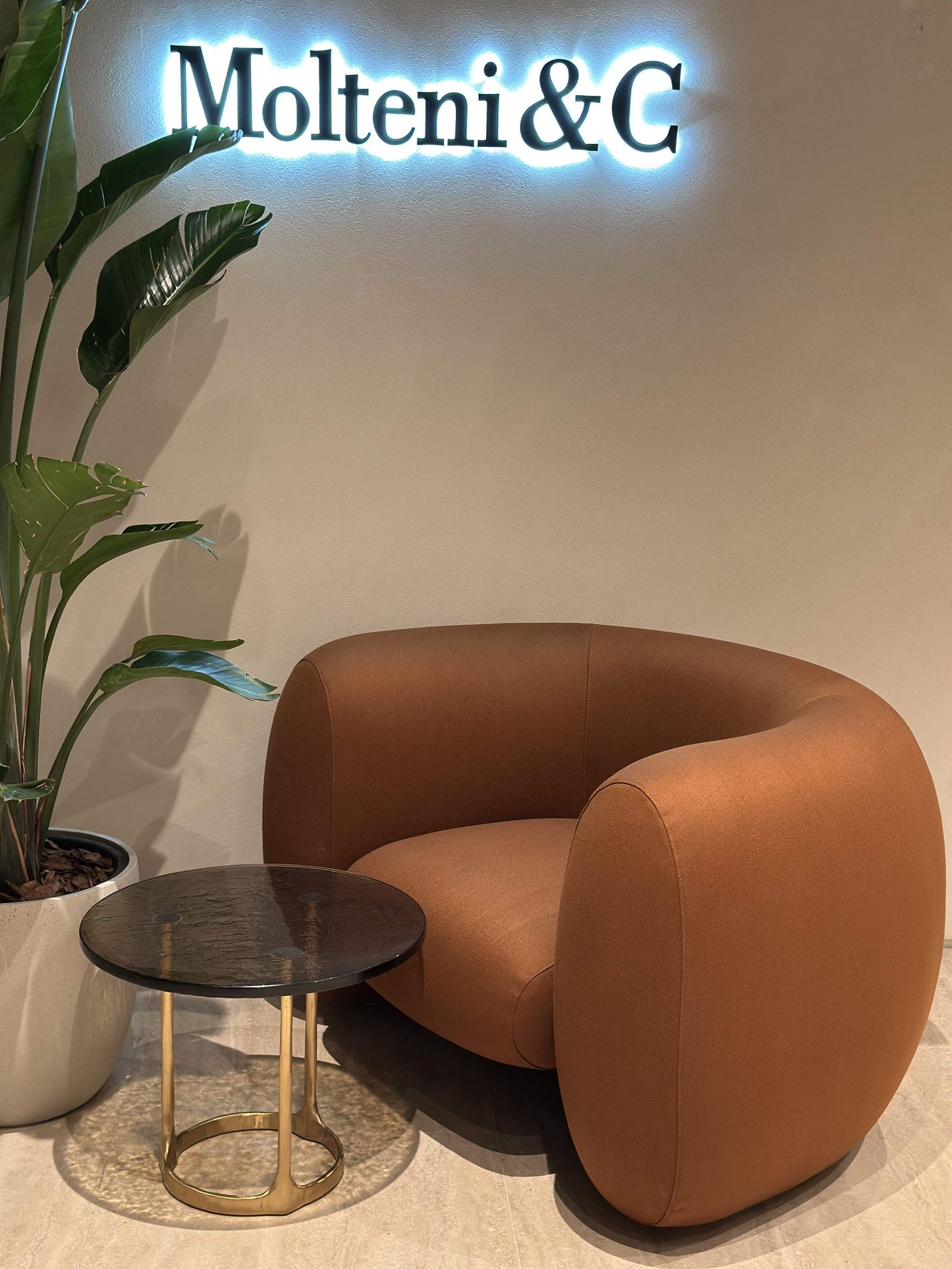 Molteni&C Кресло Cinnamon Zeus от Molteni & C — в интерьере
