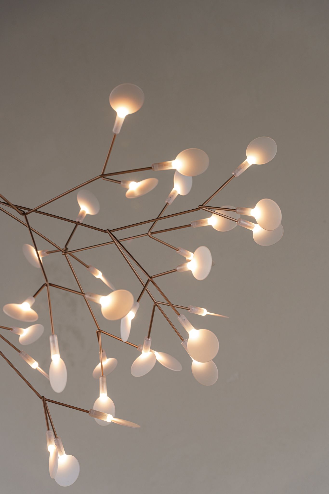 Moooi Люстра Heracleum III Smal от Moooi — в интерьере
