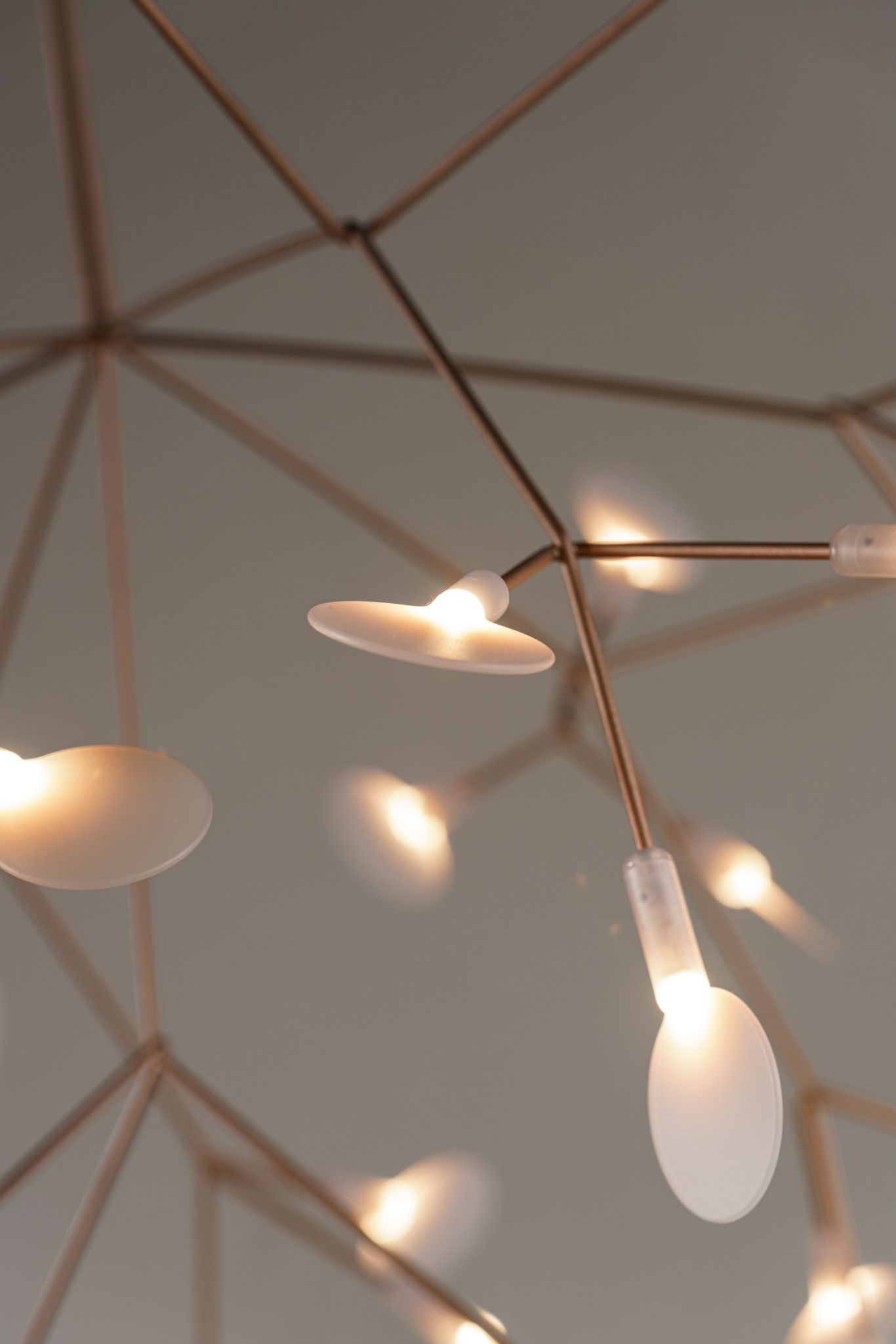 Moooi Люстра Heracleum III Smal от Moooi — в интерьере