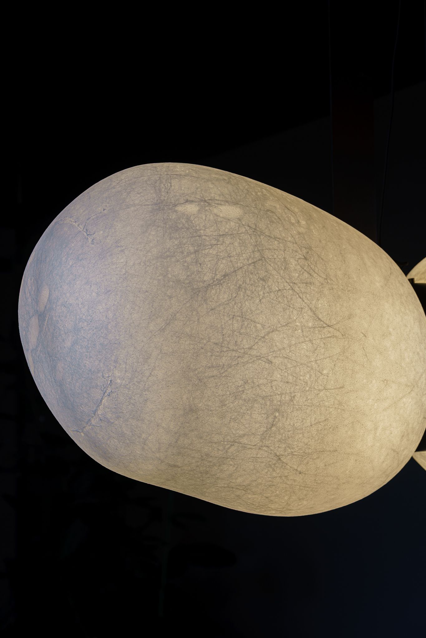 Baxter Подвесной светильник Nube Blanca от Baxter — в интерьере