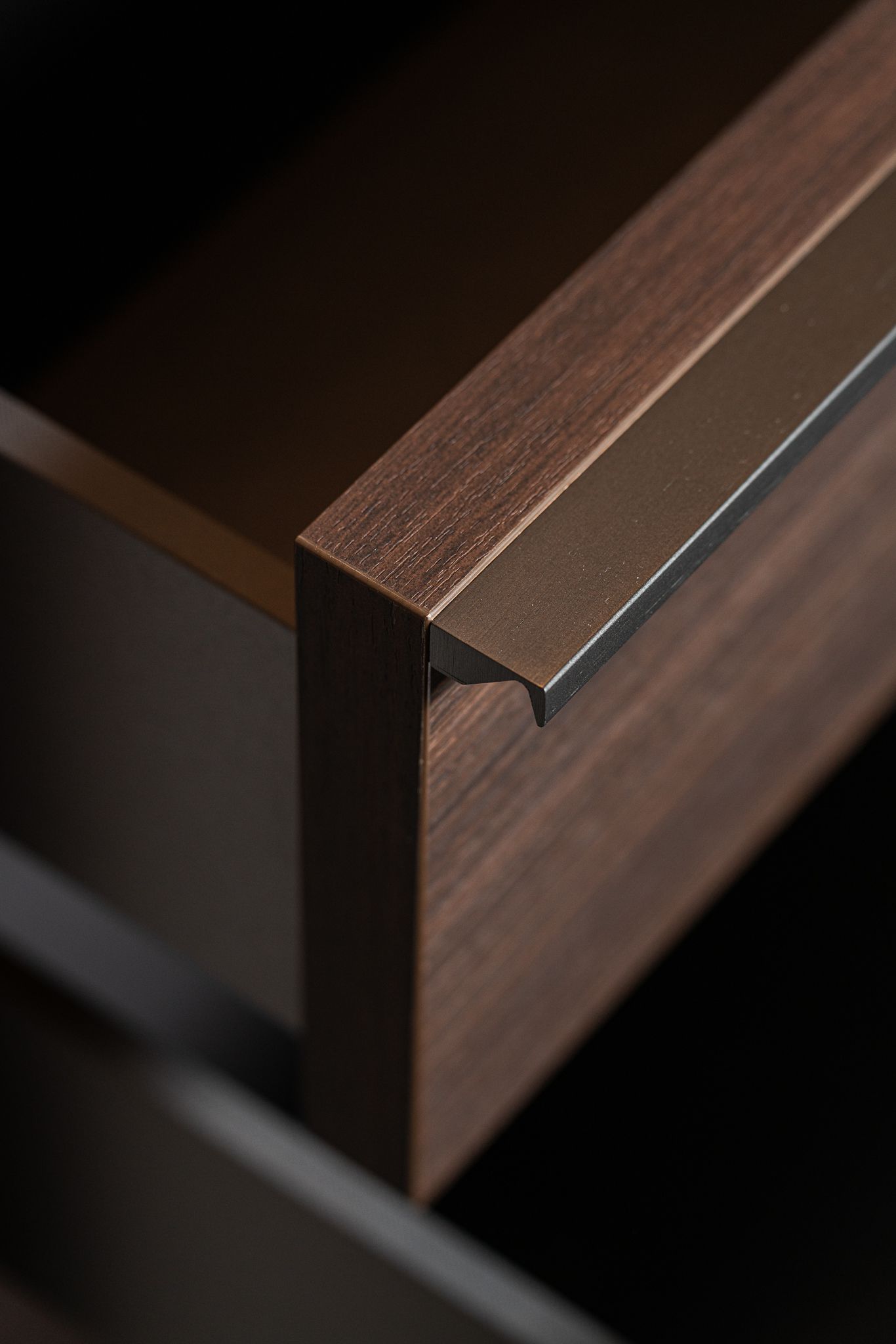 Molteni&C Шкаф распашной с входной группой Gliss Master от Molteni & C — в интерьере