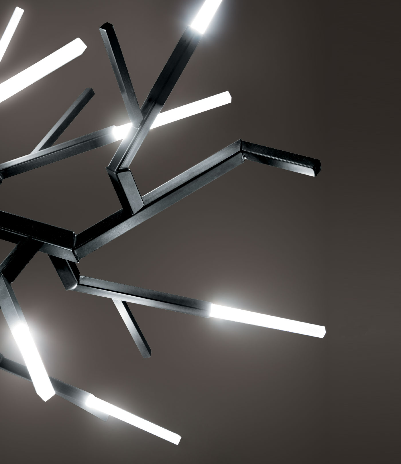 Italian Design Lighting (IDL) Подвесной светильник Acropora от Italian Design Lighting (IDL) — в интерьере