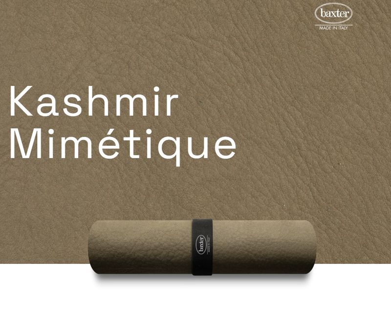 Baxter Кресло Sorrento Kashmir Mimétique от Baxter