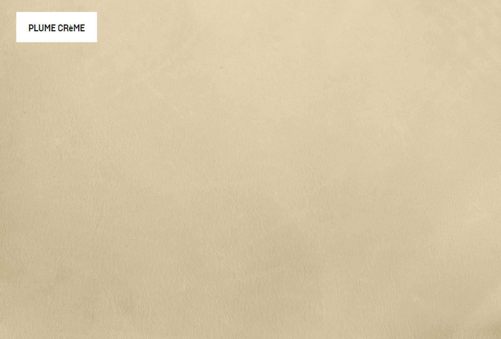 Baxter Кресло Diner Plume Creme Leather от Baxter — в интерьере