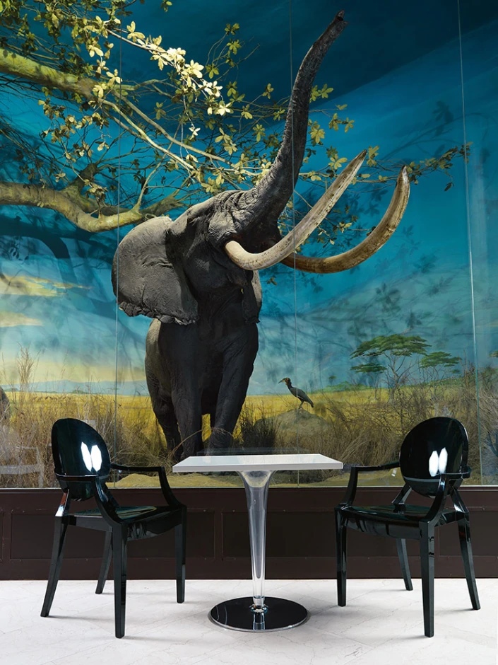 Kartell Журнальный столик Tip Top от Kartell — в интерьере