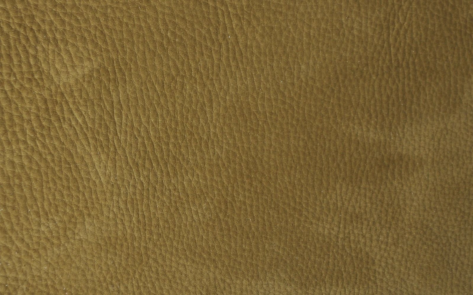 Baxter Диван Tactile Nabuck Kiwi от Baxter — в интерьере