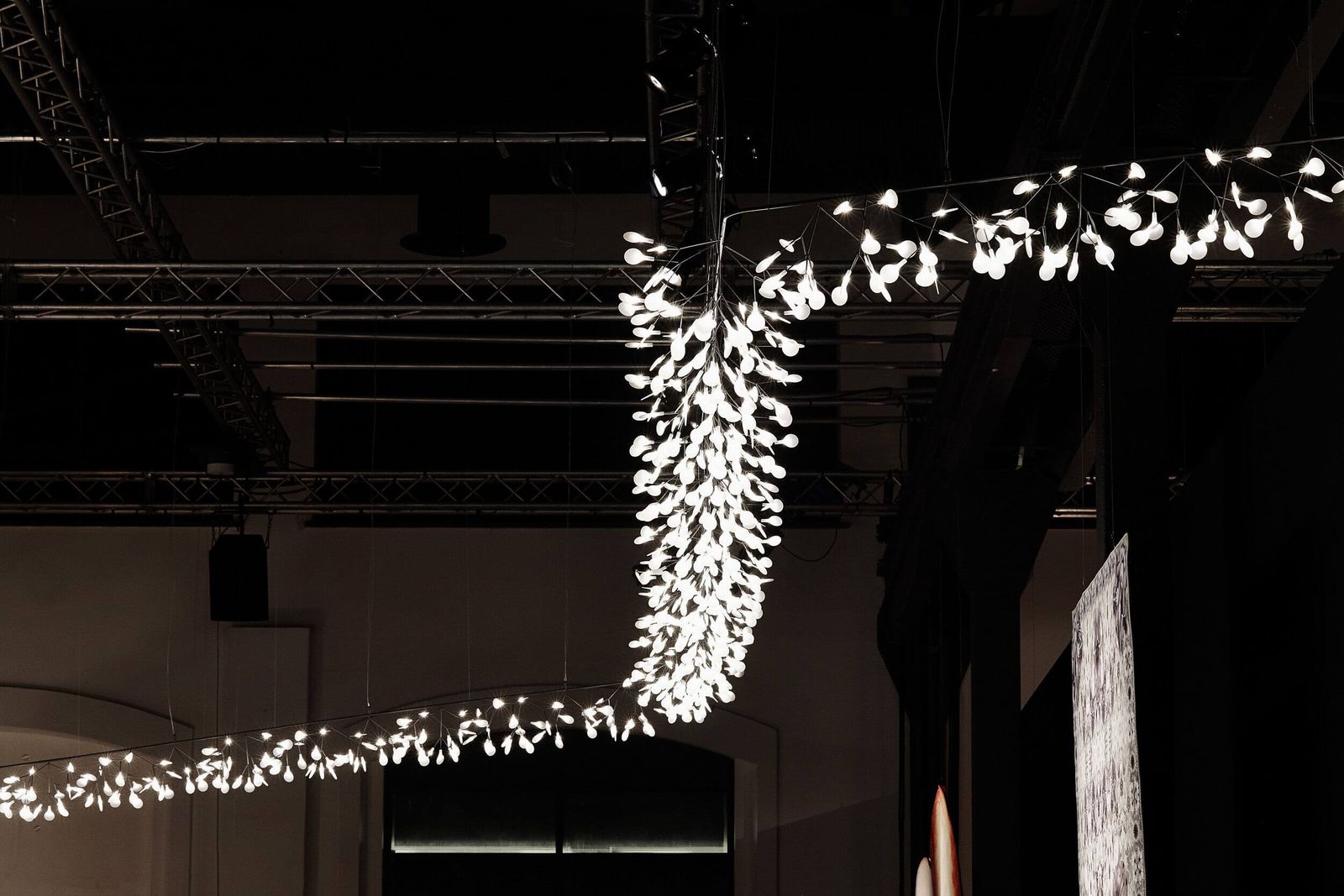 Moooi Люстра Heracleum Endless от Moooi — в интерьере