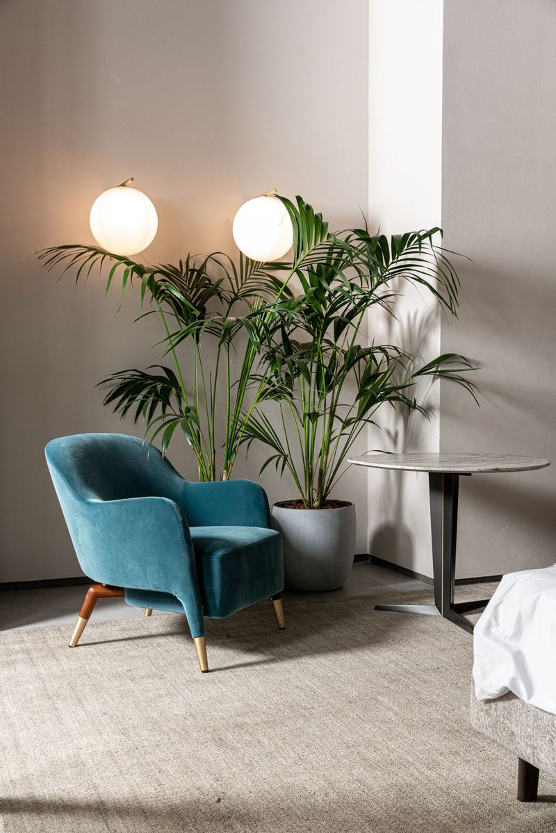 Molteni&C Кресло D.151.4 от Molteni & C — в интерьере