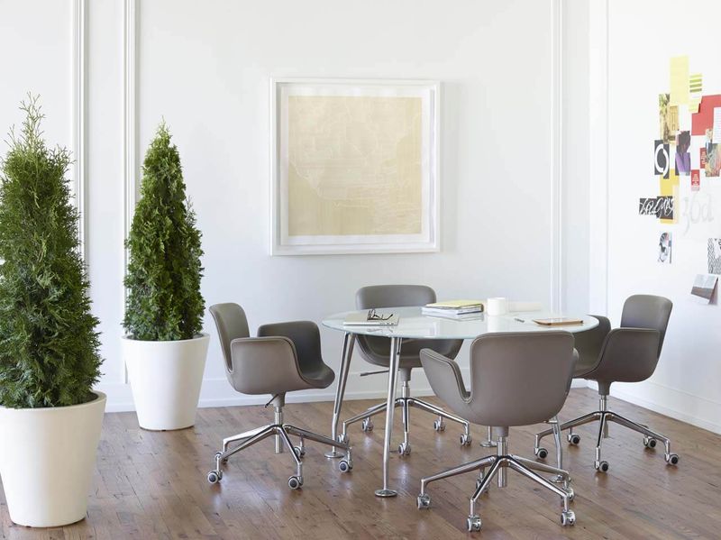 Cappellini Кресло Juli от Cappellini — в интерьере