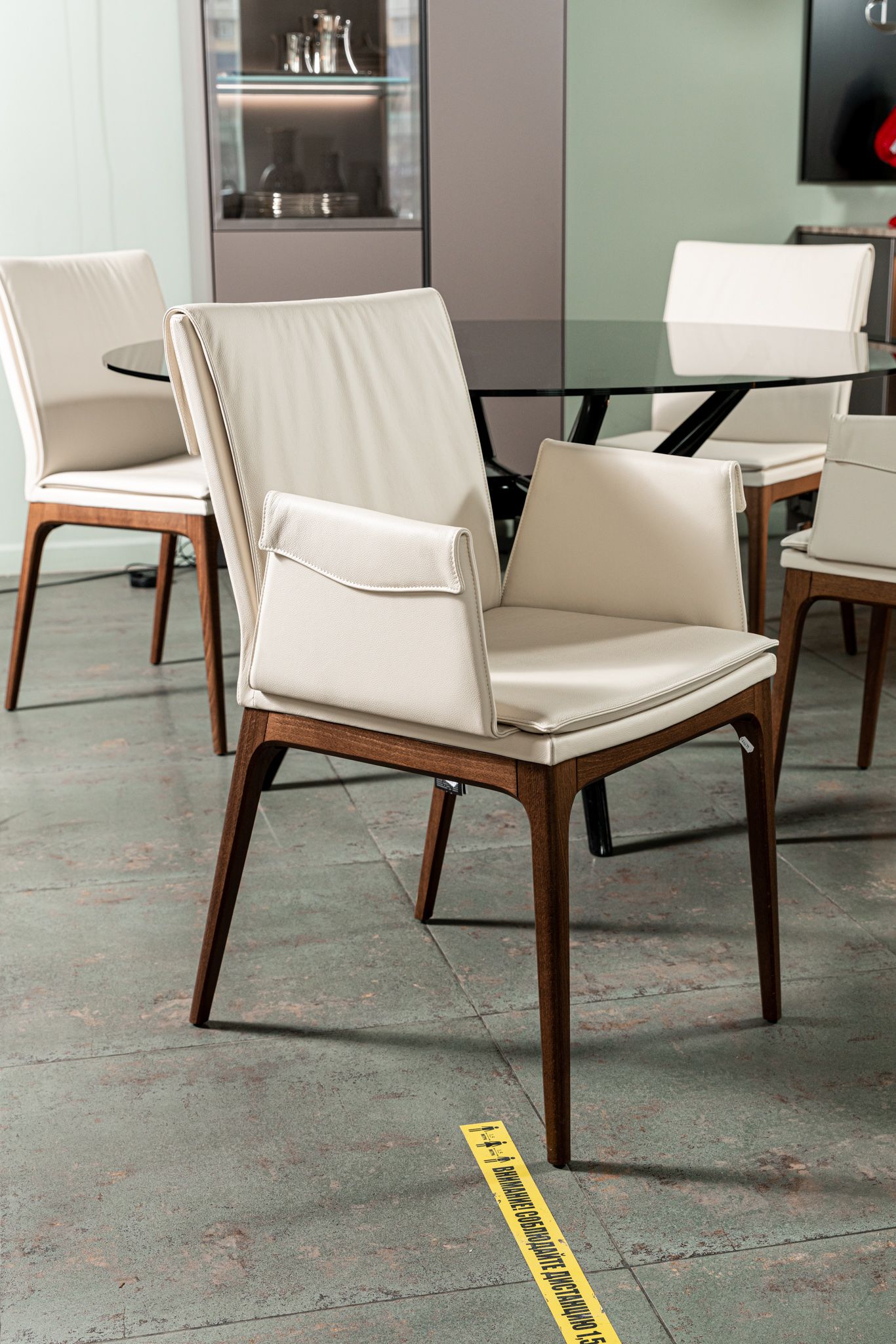 Cattelan Italia Стул Sofia B Noce Canaletto and Oyster от Cattelan Italia — в интерьере
